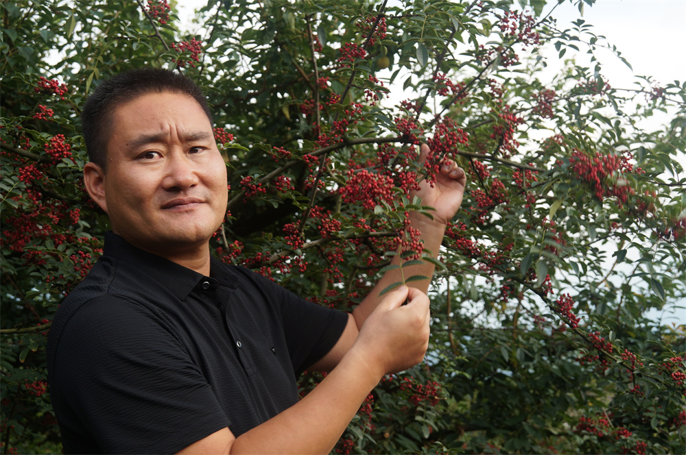 PG电子游戏2022大事记